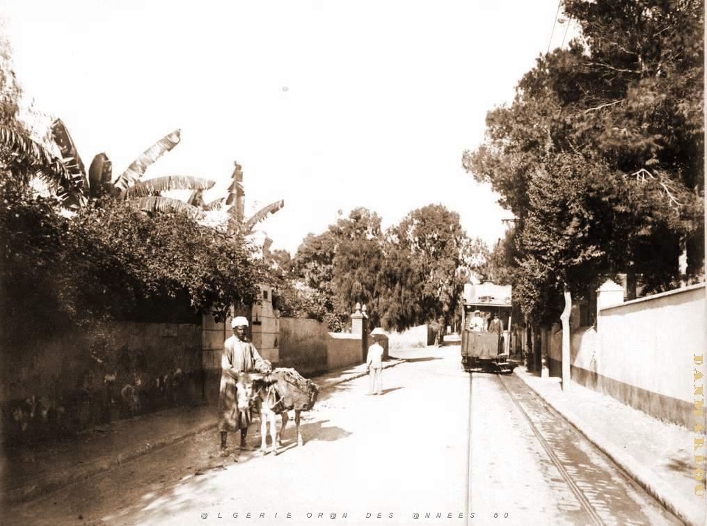 Oran 027.jpg
